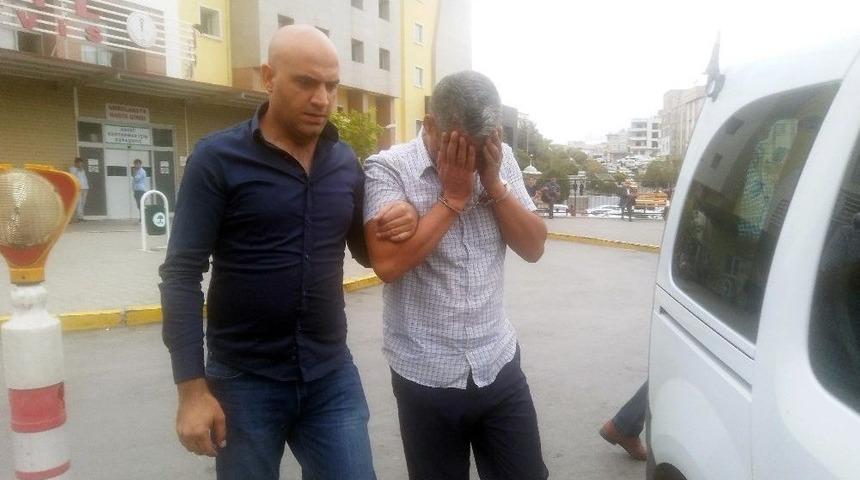 Ucuza B&uuml;y&uuml;kbaş Hayvan Satışı Vaadiyle Dolandırdı