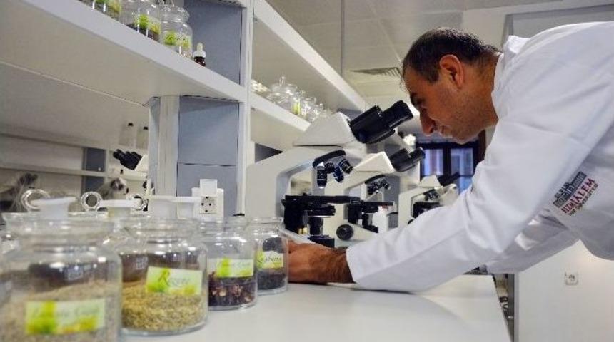 (&ouml;zel Haber) 500 Bitki Sanayiye Kazandırılacak