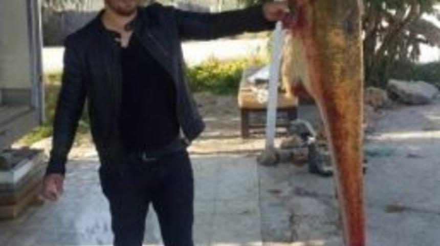 Seyhan Baraj Gölü’nden 2 Metrelik Balık Çıktı