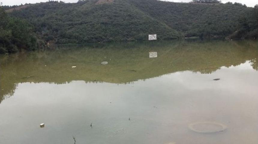 (&ouml;zel Haber) Bu G&ouml;r&uuml;nt&uuml;ler İstanbulluları Rahatlatacak