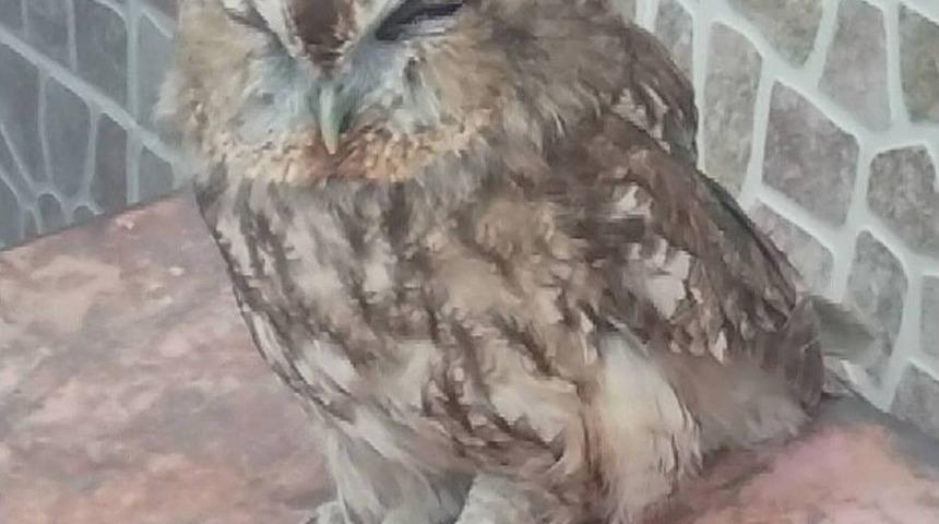 Avcılar&rsquo;dan &Ouml;rnek Davranış