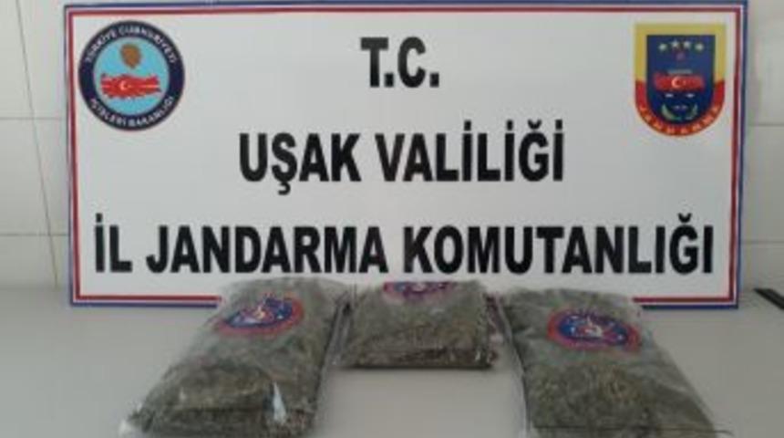Uşak&rsquo;ta Uyuşturucu Operasyonu