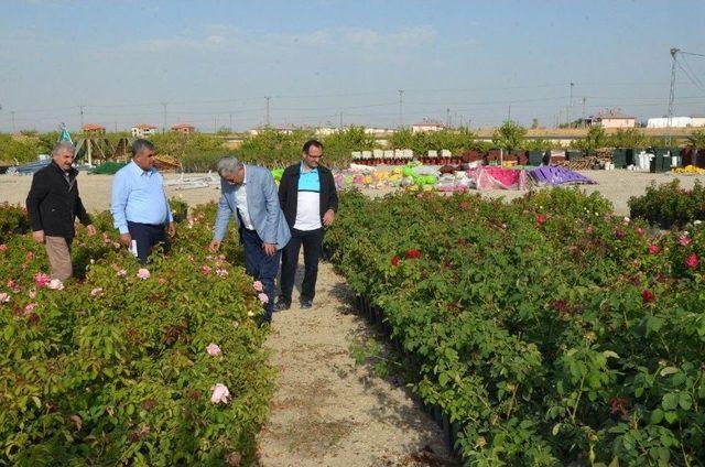 Yeşilyurt Belediyesi Fidanlık Alanında Özel Fidanlar Muhafaza Ediliyor