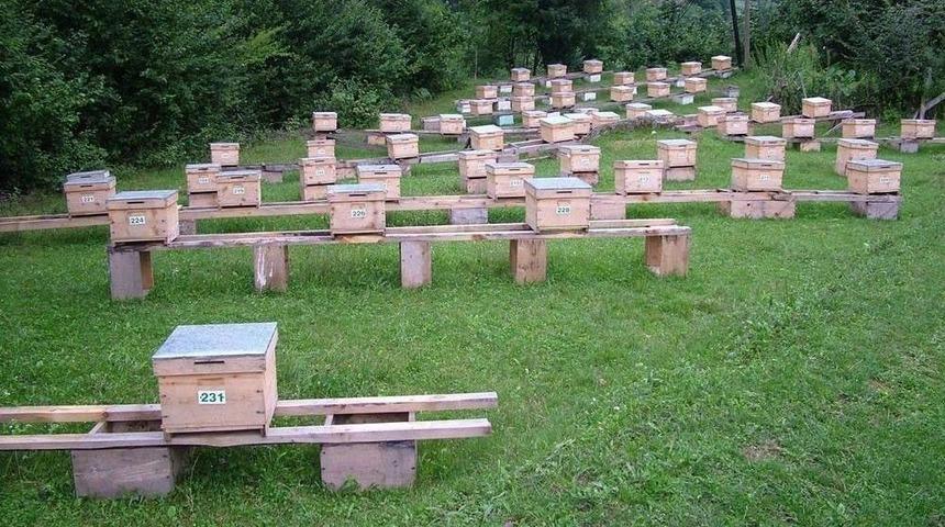 Malatya&rsquo;da Arıcılığın Geliştirilmesi &Ccedil;abaları