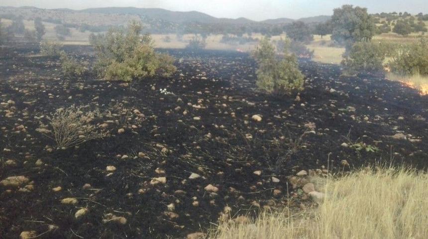 Yangında 300 D&ouml;n&uuml;ml&uuml;k Alan K&uuml;le D&ouml;nd&uuml;