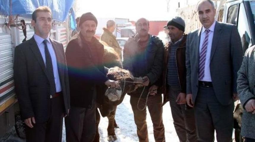 50 Besiciye Kura Ile 50 Montofon Dağıtıldı