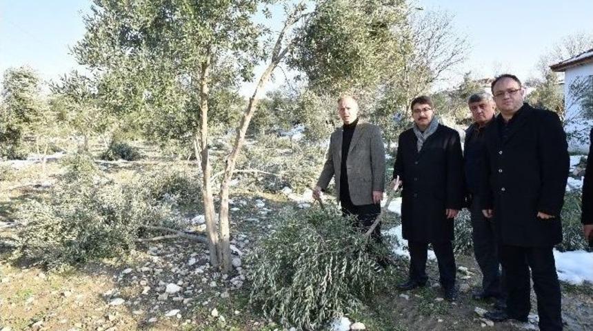 Şehzadeler&rsquo;den &Ccedil;ift&ccedil;ilere M&uuml;jdeli Haber