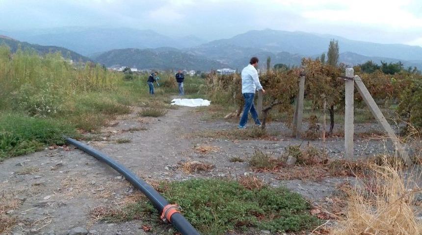 Manisa&rsquo;da &Uuml;z&uuml;m Bağlarında Cinayet