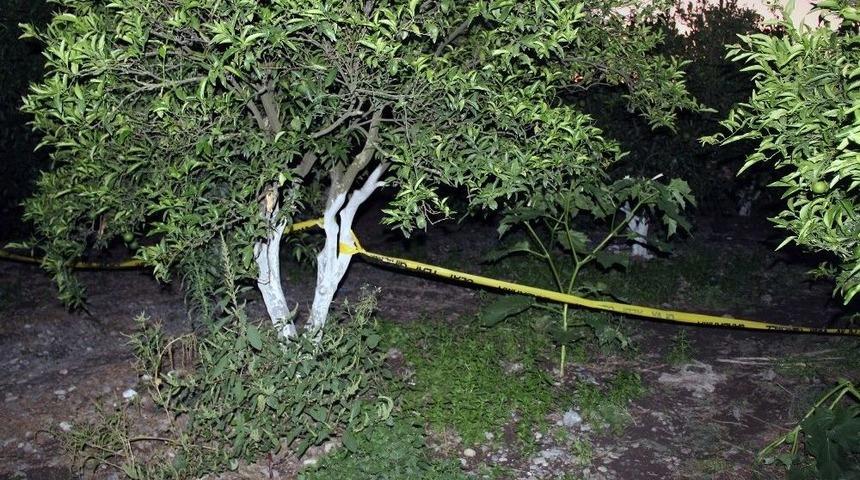 Ter&ouml;ristin &Ouml;l&uuml; Bulunduğu Bah&ccedil;e Sahibinin Olayla İlgisinin Olmadığı Anlaşıldı