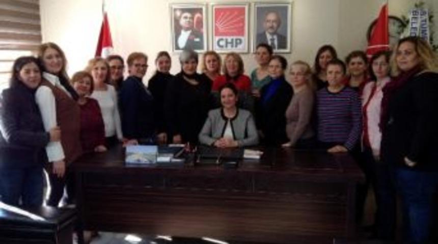 Chp Kadın Kolları İl Başkanı Kavasgil İstifa Etti