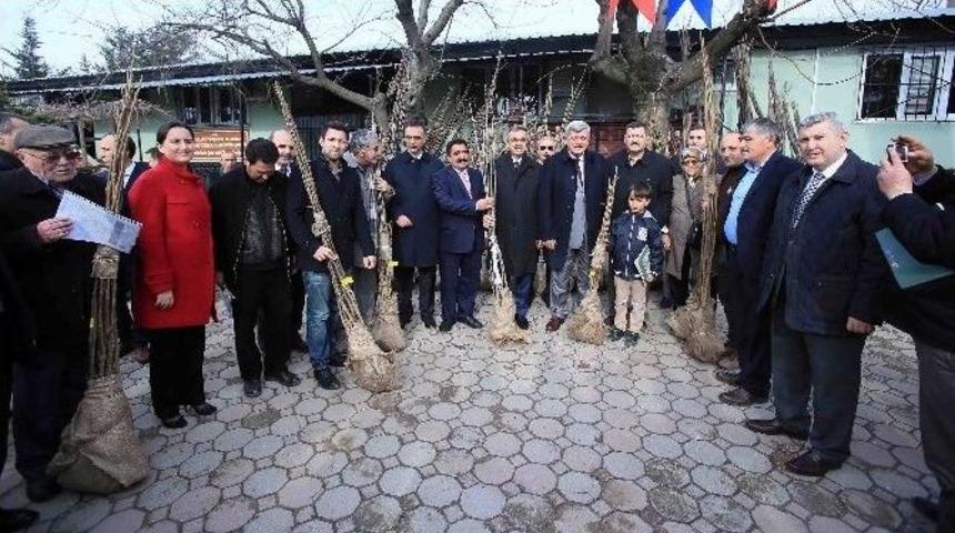 Ko-mek İle Renkler Dile Geliyor