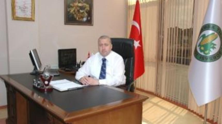 Fındık Fiyatındaki Artışın Nedeni