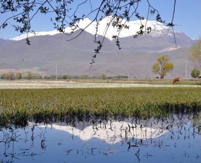 Sultansazlığı Kuş Cenneti'ne 9 Milyon Metreküp Can Suyu