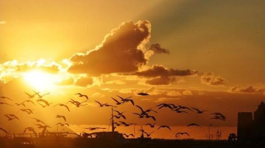 Gökyüzü Kuşlarla Renklendi