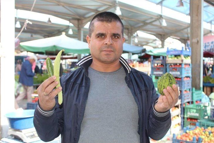 Niğde’de Turşuluk Telaşı Yaşanıyor G1