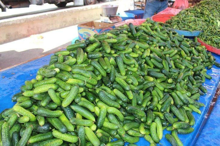 Niğde’de Turşuluk Telaşı Yaşanıyor G3