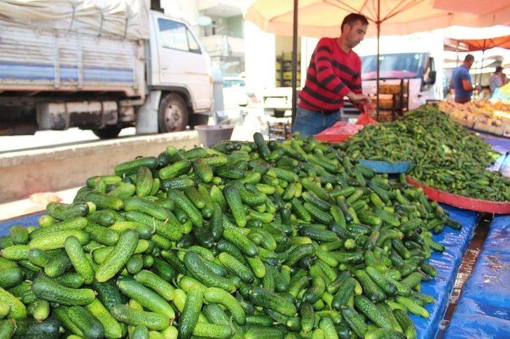 Niğde’de Turşuluk Telaşı Yaşanıyor G4