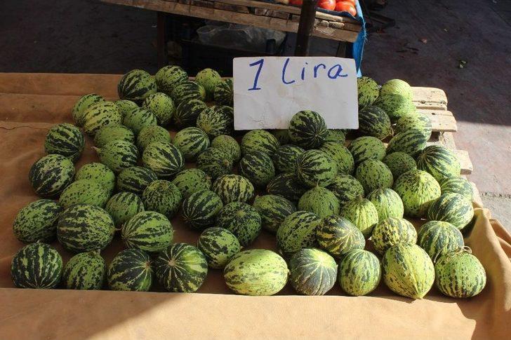 Niğde’de Turşuluk Telaşı Yaşanıyor G5