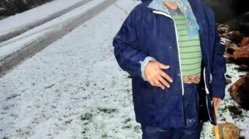 Bodrum'da T&uuml;m Mevsimler Bir Arada