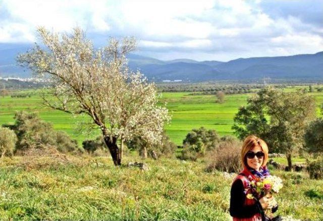 Bodrum'da Tüm Mevsimler Bir Arada