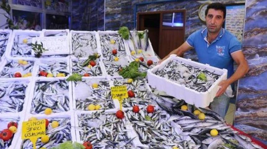 K&uuml;resel Isınma Hamsiyi De Etkiledi