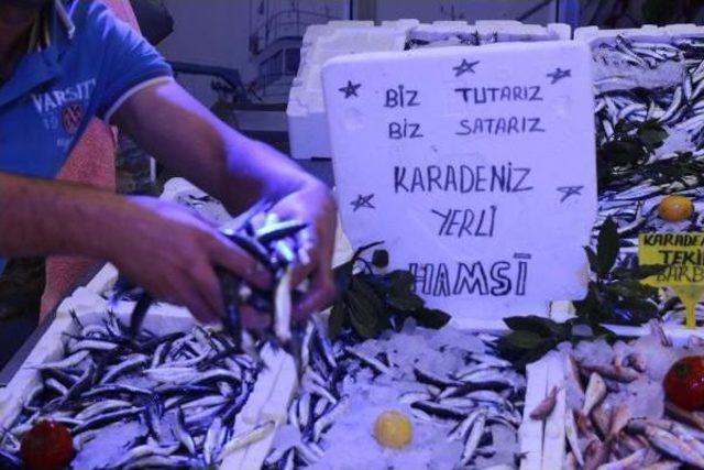 Küresel Isınma Hamsiyi De Etkiledi