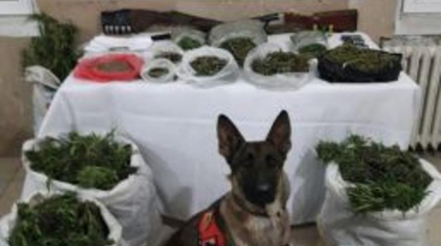 Jandarmadan Zehir Deposuna Baskın