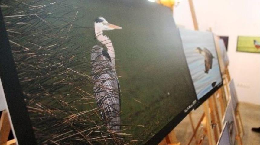 Zonguldak Kuşları Sergisine Yoğun İlgi