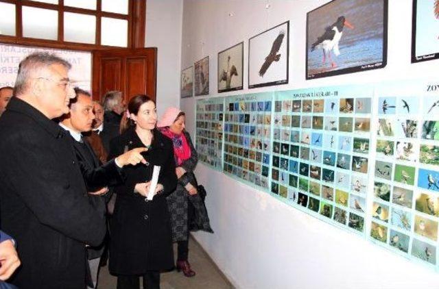 Zonguldak Kuşları Fotoğraf Sergisi Ilgi Gördü