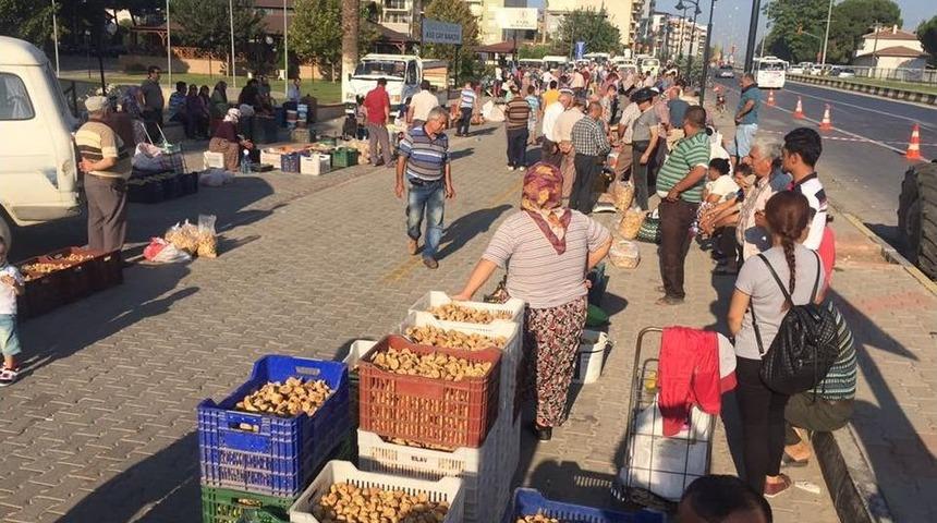 İncir Fiyatlarına Hadise Dopingi