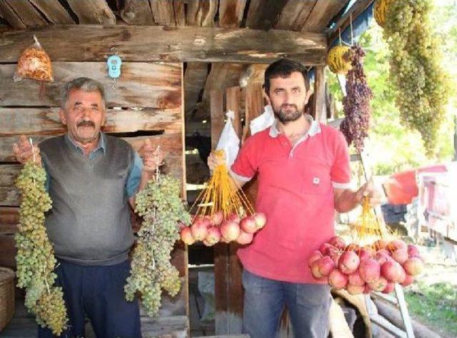 Meyveleri Yazın Dalından, Kışın 'hevenk'ten Yiyorlar