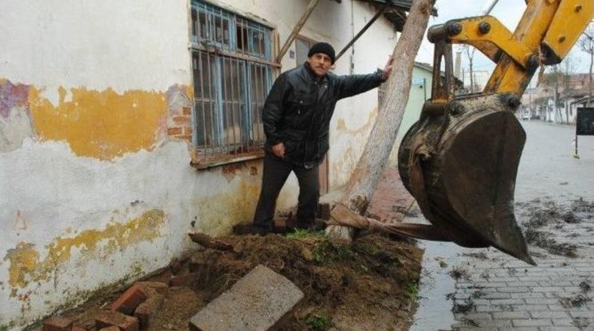 İncirliova Daha Yeşil Olacak