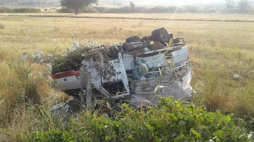 Lahana Y&uuml;kl&uuml; Kamyonet Takla Attı