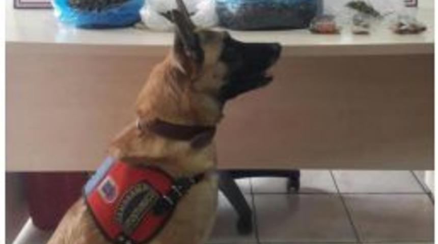 Mersin&rsquo;de Uyuşturucu Operasyonu