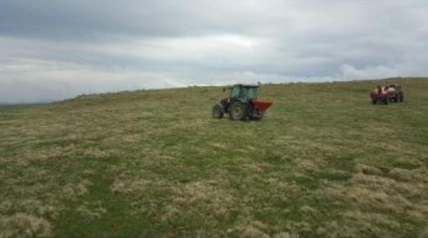 Meralara 233 Ton G&uuml;bre