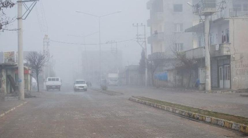 İdil&rsquo;de Yoğun Sis Hayatı Olumsuz Etkiledi