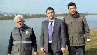 Kuğular Ordu'da Göçe Hazırlanıyor