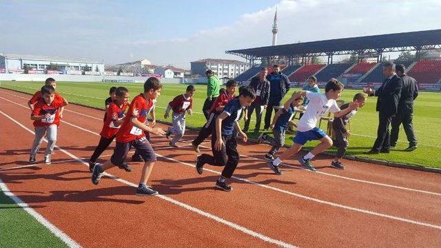 Atletizm Müsabakalarına Büyük Katılım