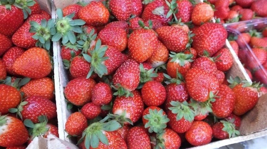 Organik Çilek Çiftçinin Yüzünü Güldürdü