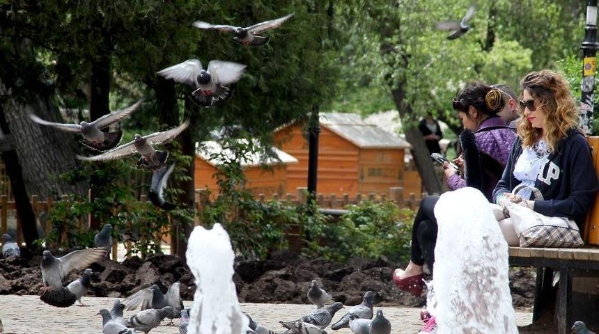 &Ccedil;ankaya&rsquo;da &Uuml;cretsiz İnternet Hizmetinden 58 Bin 245 Kişi Yararlandı