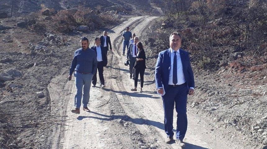 Barodan Yanan Ormanlara Ağa&ccedil;landırma Kampanyası