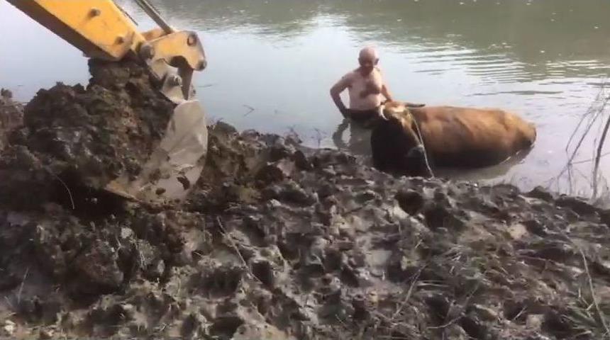 İtfaiyeden İnek Kurtarma Operasyonu