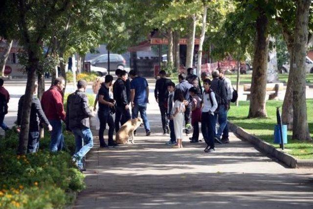 Diyarbakır'da Cezaevi Firarisi Kaçtı, Polis Kovaladı