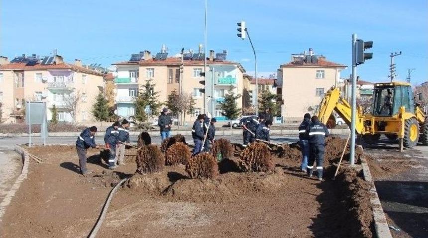 Develi Belediyesi G&uuml;l Ekiyor