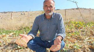 3 Bin 500 Yıllık Vadide Genetiği Bozulmamış Sebze Tohumlardan Ürün Elde Etti