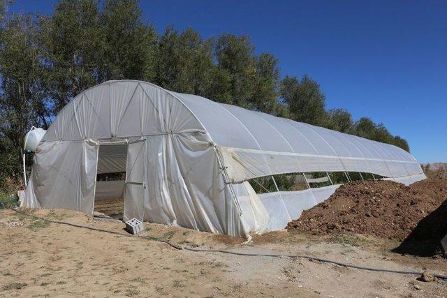 G&uuml;rpınar&rsquo;daki &Ouml;rnek Seralarda Marul Ekimi 1