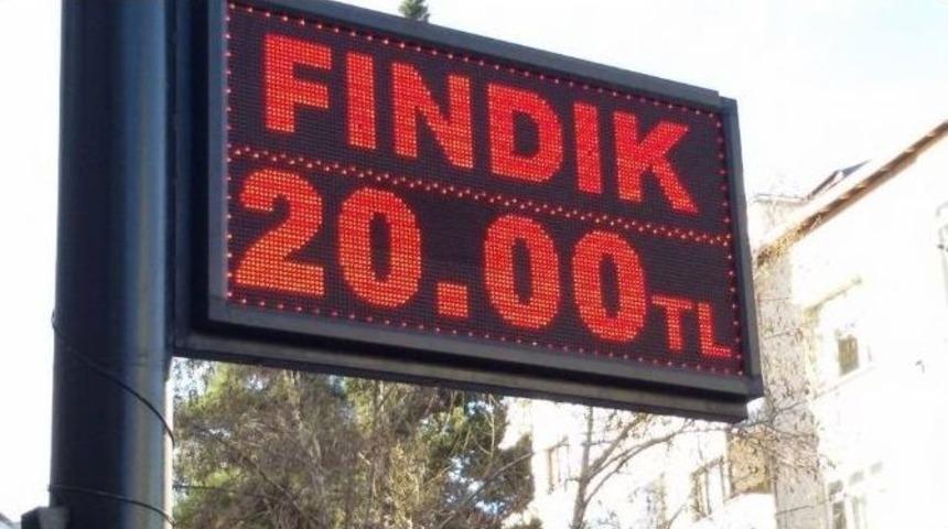 Fındık Kendi Rekorunu Kırdı