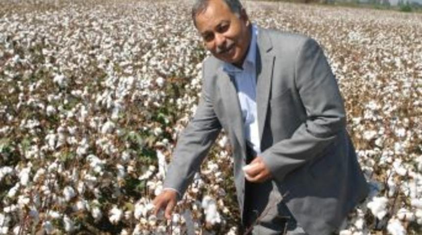 S&ouml;ke Ziraat Odası&rsquo;ndan &rsquo;pamuğunuzu Hemen Satmayın&rsquo; &Ouml;nerisi