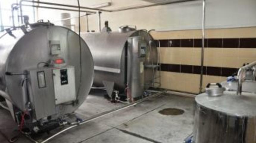 Zile’de 33 Köyden Günlük 5 Ton Süt Toplanıyor