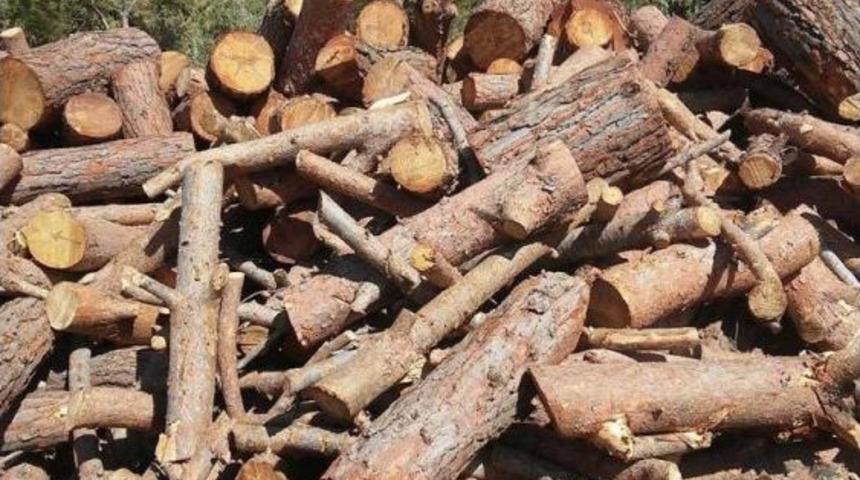 Anamur’da 100 Ster Kaçak Odun Ele Geçirildi